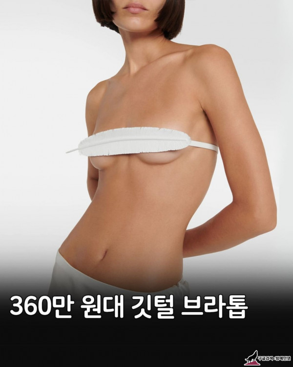 362만원짜리 명품 브래지어 ㄷㄷㄷ img #1