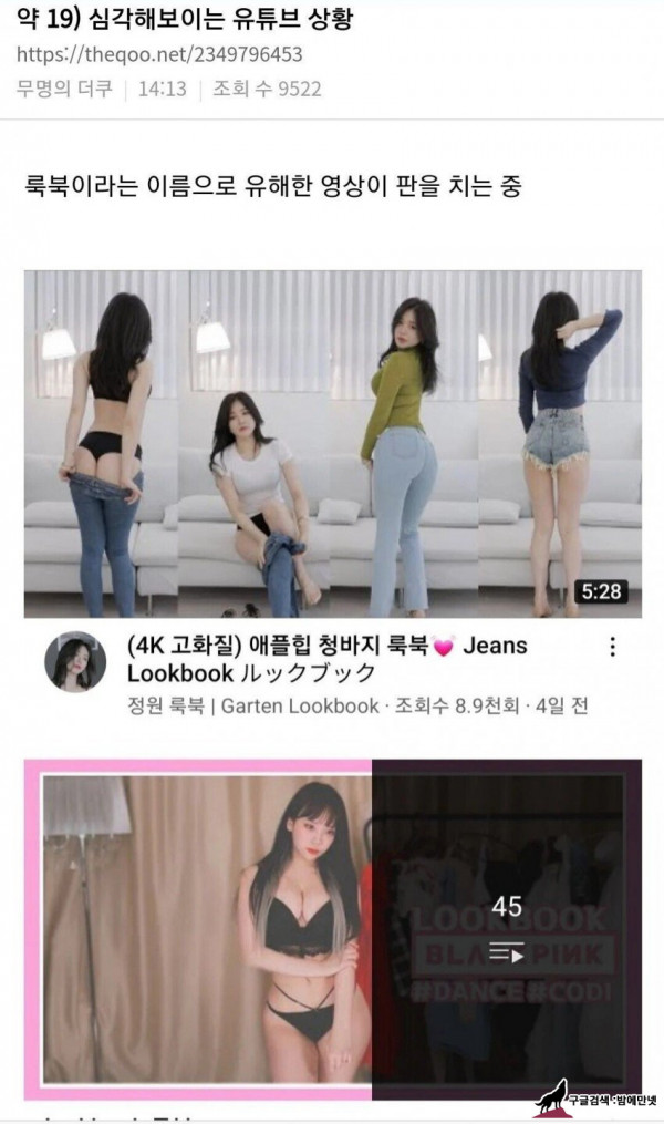 여초에 올라온 심각해 보이는 유튜브 룩북 상황 img #1