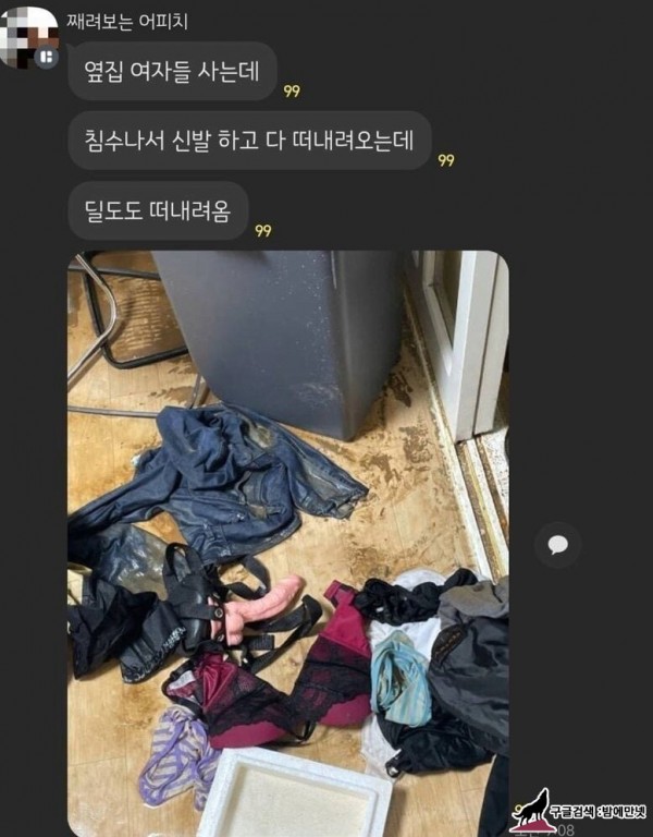 침수로 옆집 여자들 방에서 떠내려온 물건 대참사 img #1